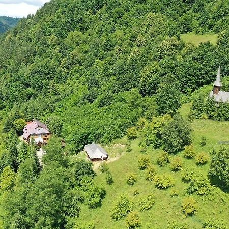 Villa Casuta Bunicilor Viseu de Jos Exterior foto